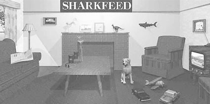 Sharkfeed