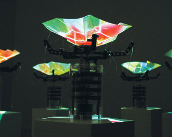 Matt Gardiner's Oribotics (detail)