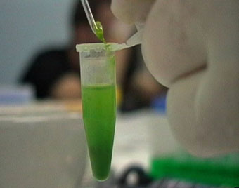 Artists participating in the Biotech Art Workshop,<BR /> Extracting DNA Molecules from a Pea,produced by EAF Adelaide, 2004″></p>
<p class=