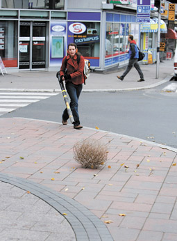 Introducing Tumbleweed to the Finnish Landscape, Claire Blundell Jones, Anti Festival