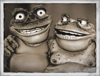 Cane Toads