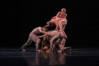 Pilobolus, Aquatica