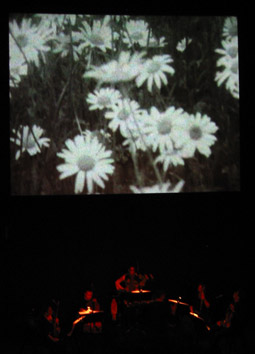 Ensemble Offspring, Waiting to turn into puzzles