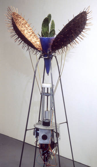 Amy Youngs, Rearming the Spineless Opuntia
