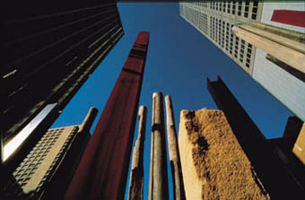 Janet Laurence and Fiona Foley, The Edge of the Trees, Museum of Sydney J Plaza