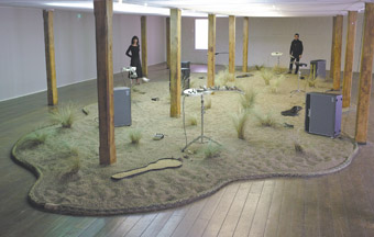 Céleste Boursier-Mougenot, From Here to Ear (2009), mixed media, Long Gallery, Hobart