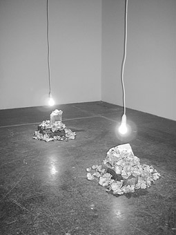 Ruark Lewis, Jonathan Bottrell Jones, Nuha Saad, Oyster, 2001