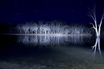 Lake Mungo, Mungo Productions, 2009