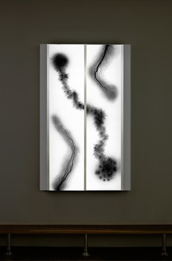 Hiroshi Sugimoto, Lightning Fields Illuminated 003 | 2008  black-and-white film with light box 