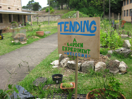 Tending: A Garden Experiment