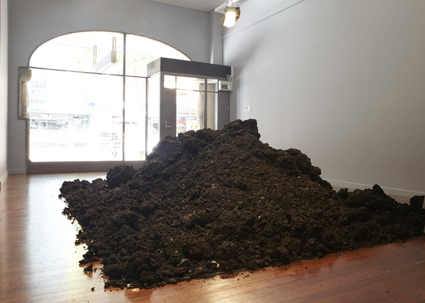 He Xiangyu, Cola Project Resin (2009-2010), installation view at 4A Centre for Contemporary Asian Art, courtesy of the artist and White Space, Beijing