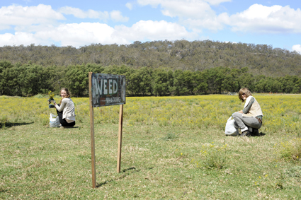 Weed Whacking; Siteworks