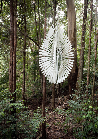 Steven Shorts, Sea Pods (2012), PVC pipes hanging from the ancient rainforest canopy