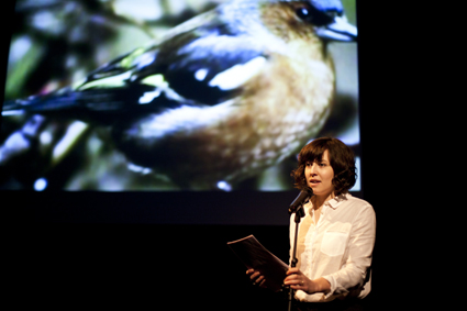 Emma Bennett, Slideshow Birdshow, IBT13