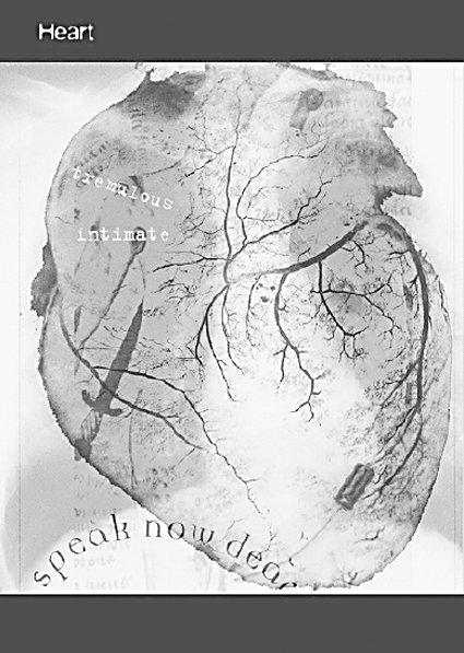 Norie Neumark & Maria Miranda Dead Centre: the body with organs
