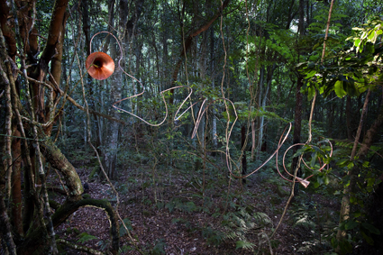 Darragh O'Callaghan, Serosa , Sculpture at Scenic World 