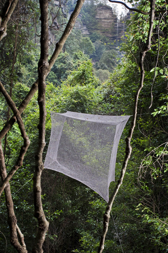 Greer Taylor, resting place, Sculpture at Scenic World 