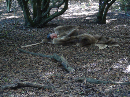 Julie Gough, Traveller, 2013, video still, courtesy the artist and CAST
