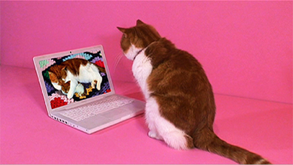 Jessica McElhinney, CatTube, 2011