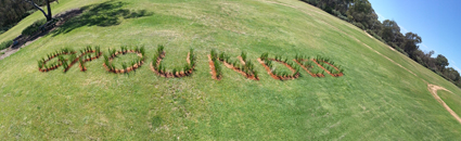 Joanne Mott, Grounded, 2013, native grasses, sedges and rushes, Palimpsest