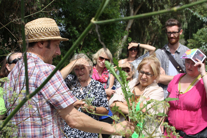 Diego Bonetto, Wild Food Tour