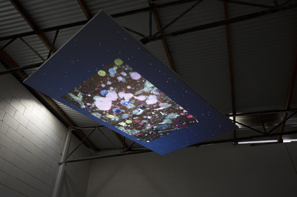 Chris Bennie, Fern Studio Floor: a cosmology 
