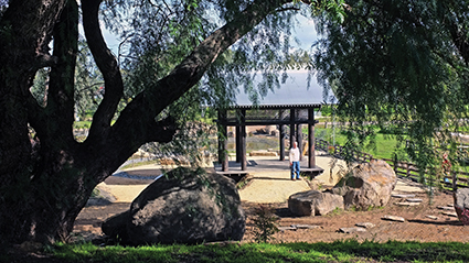 Chinese Gardens