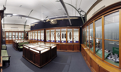 Macleay Museum Gallery, Sydney, 2006