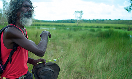 David Gulpilil, Another Country