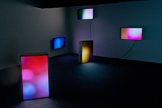 Taeyoon Kim, Steady Griffins, five-channel video, random loop, colour, no audio, 2014,