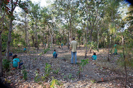 Landed, Tracks Dance, Darwin Festival, 2016