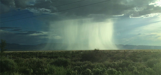 Thunderhead, Tina Havelock Stevens