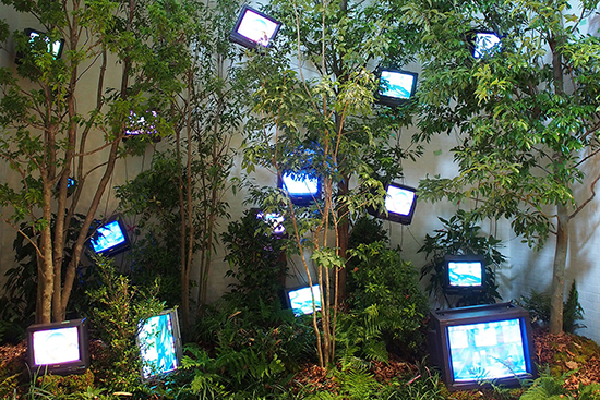 Cage Forest / Forest of Revelation (1990), Nam June Paik
