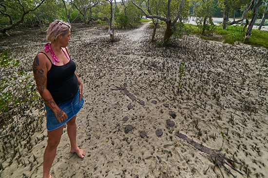 Libby Harward, Tallebudgera Valley, Enter the Map